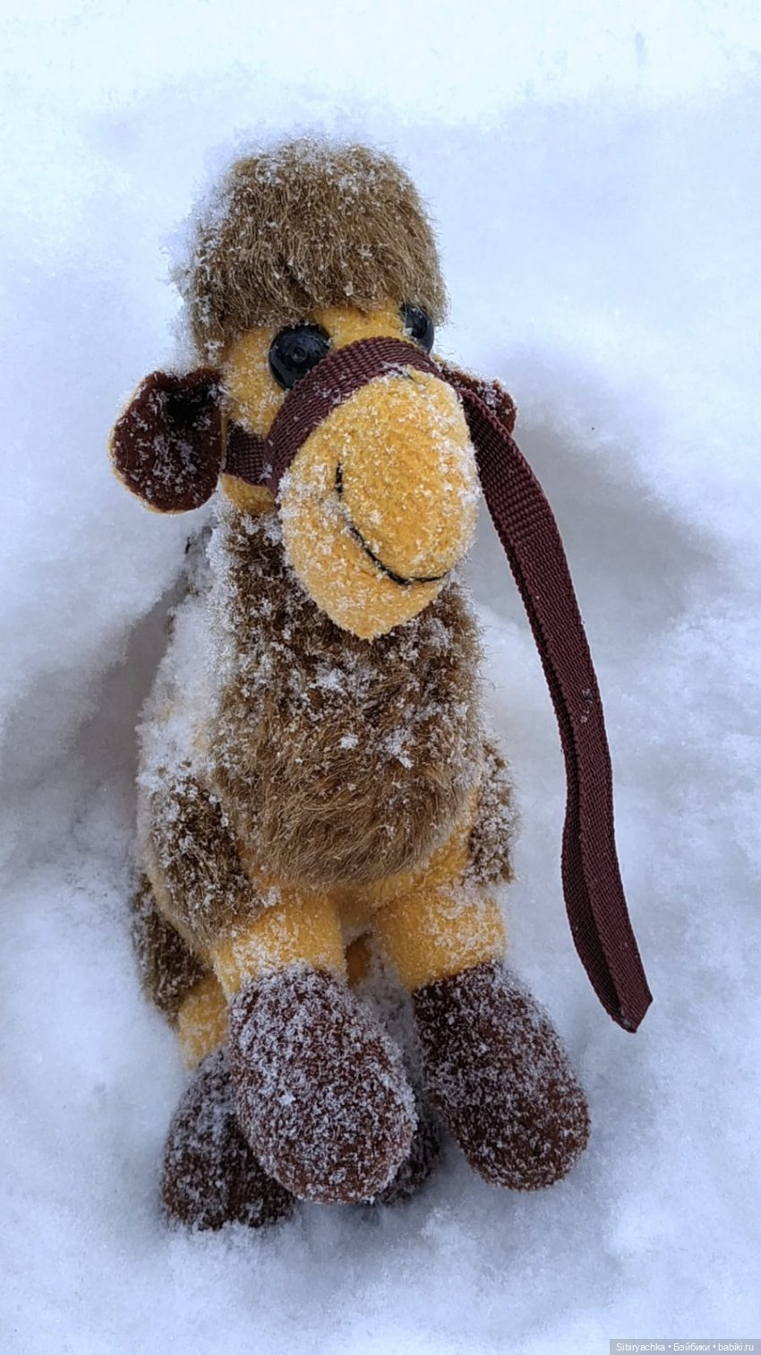 Воскресные приключения верблюжонка Тома