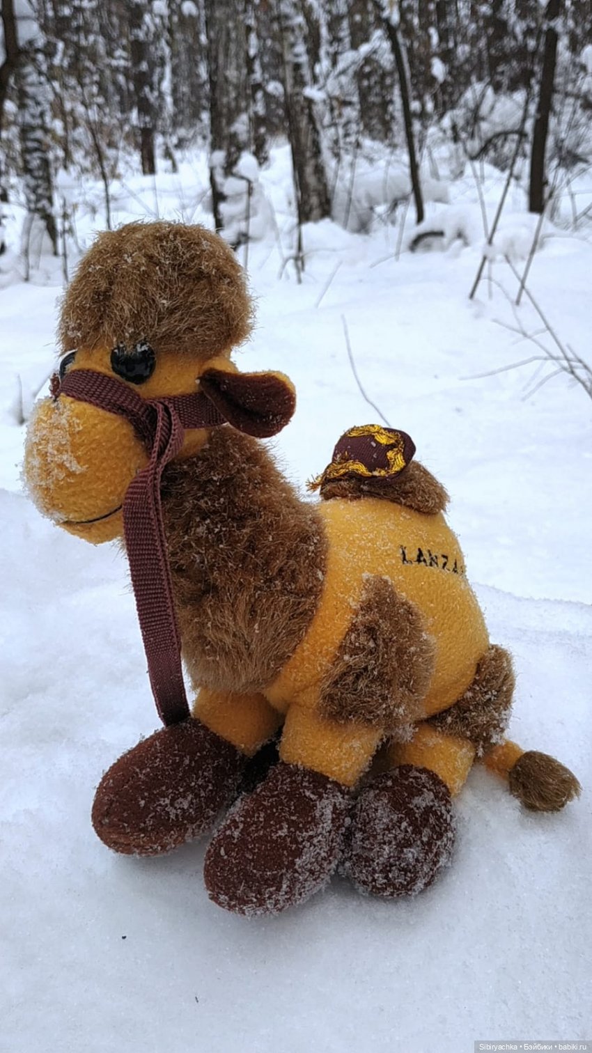 Воскресные приключения верблюжонка Тома (фото 10)