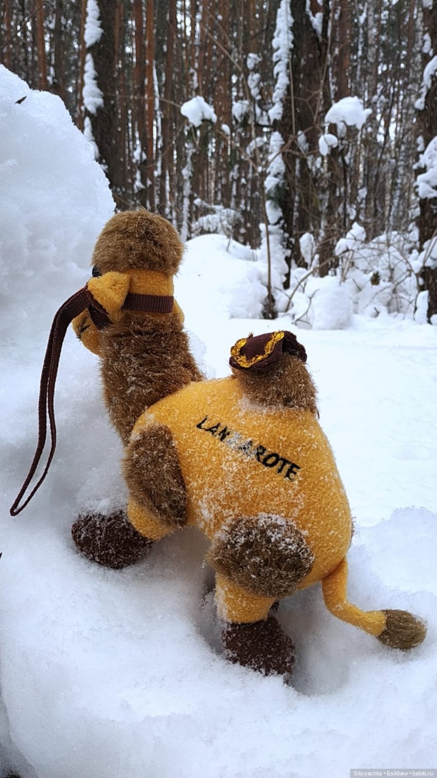 Воскресные приключения верблюжонка Тома