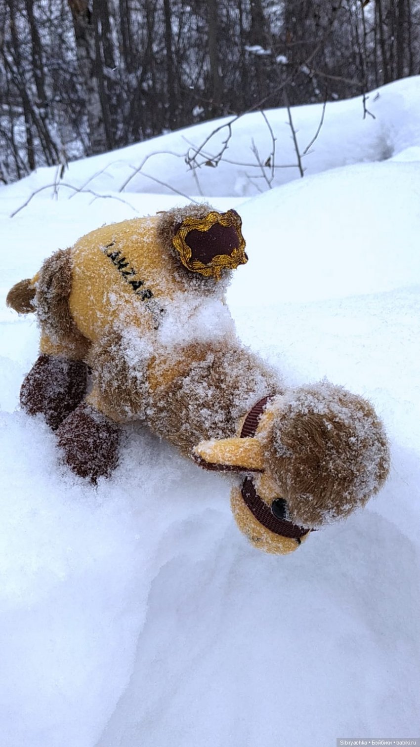 Воскресные приключения верблюжонка Тома