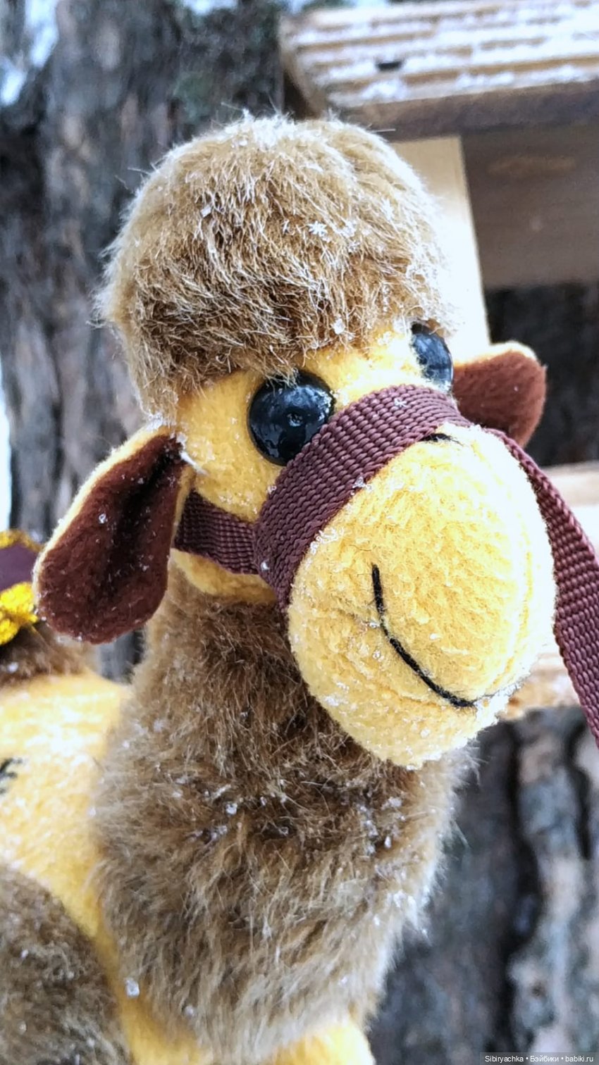 Воскресные приключения верблюжонка Тома