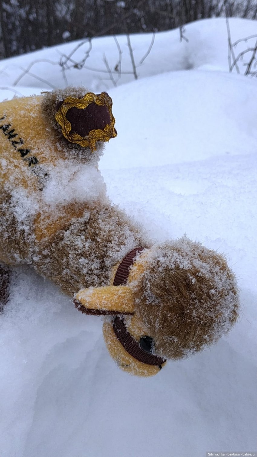 Воскресные приключения верблюжонка Тома