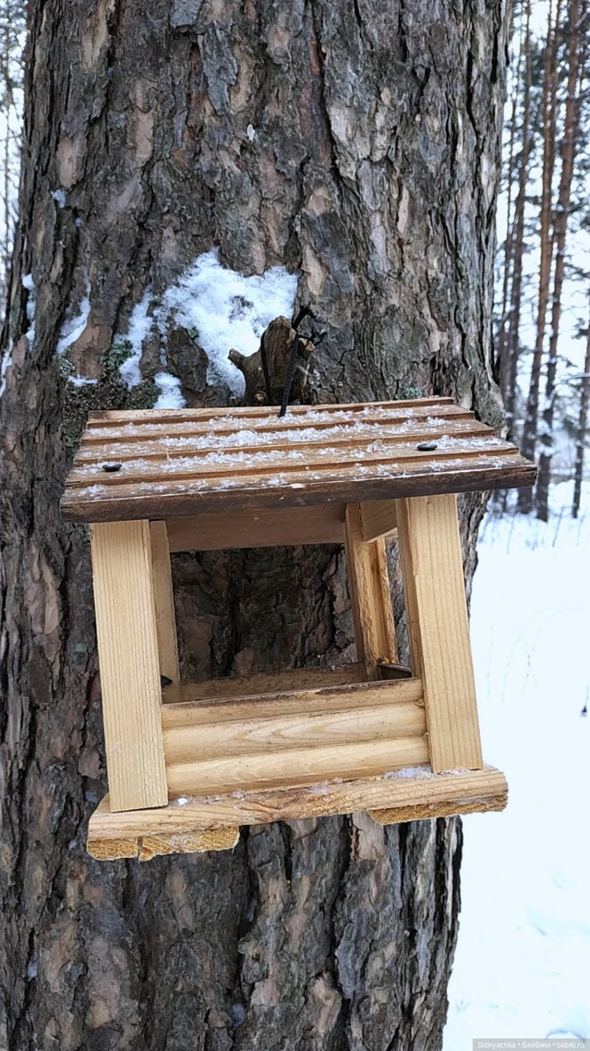 Воскресные приключения верблюжонка Тома