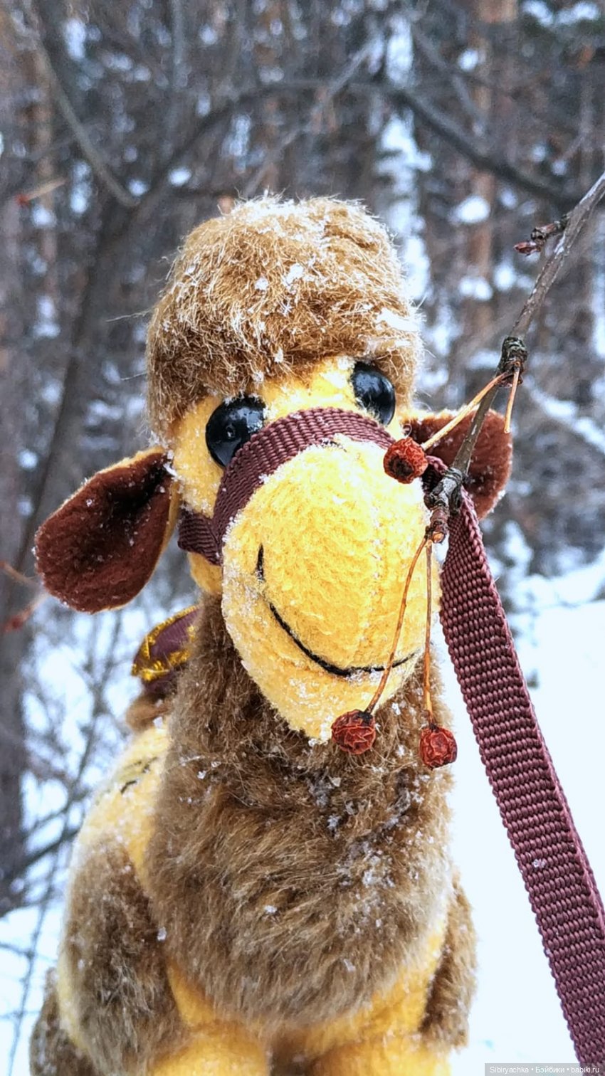 Воскресные приключения верблюжонка Тома