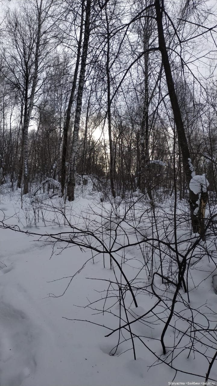 Прогулка Юляшки и Веты в любимом лесу (фото 7)