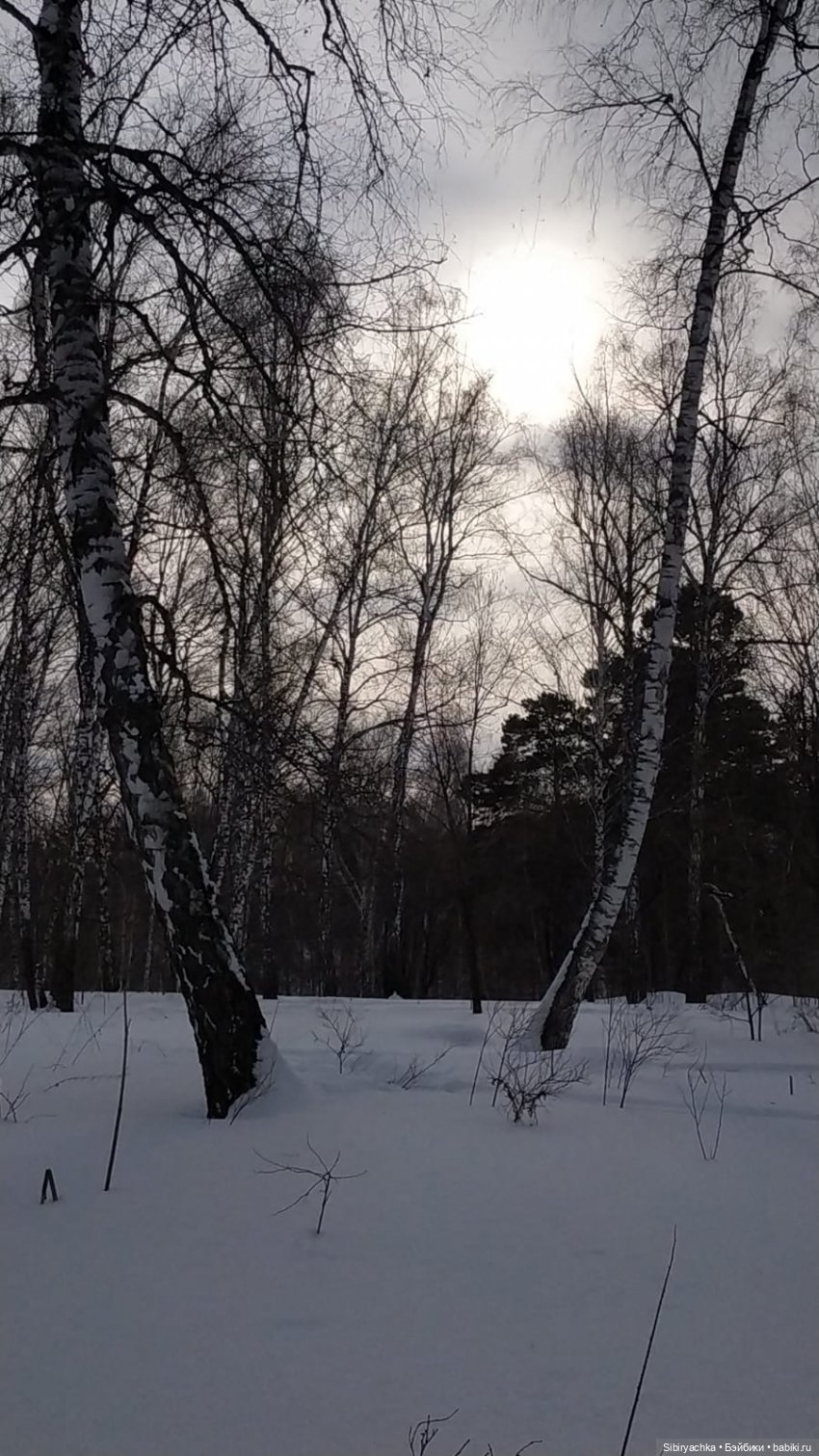 Прогулка Юляшки и Веты в любимом лесу