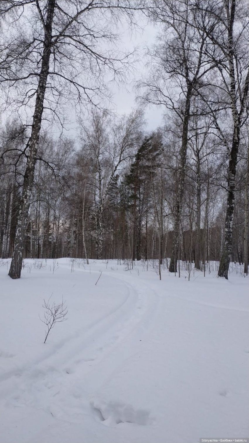 Прогулка Юляшки и Веты в любимом лесу