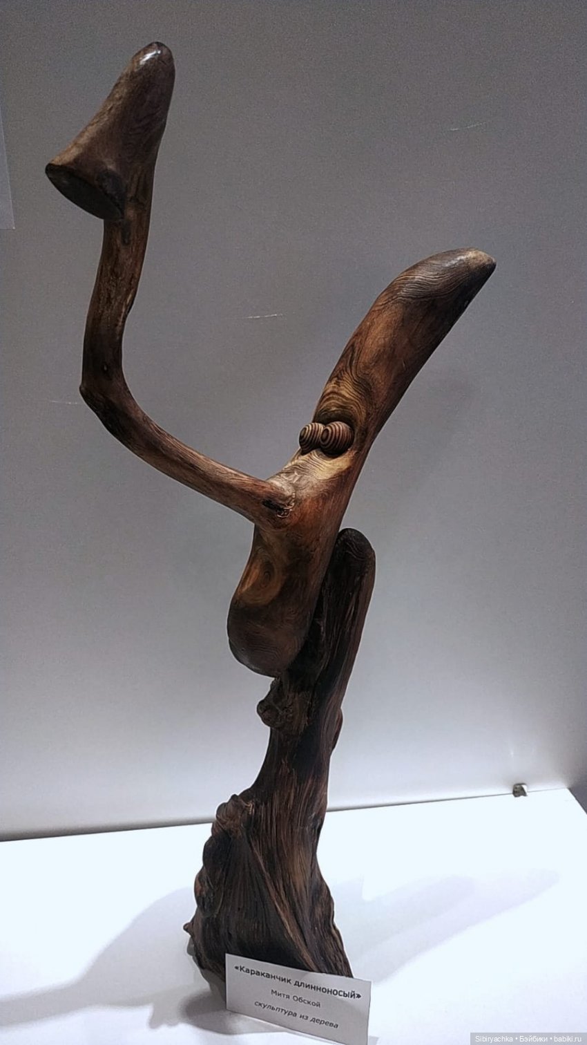 Вета отправилась на выставку или кто такие караканчики