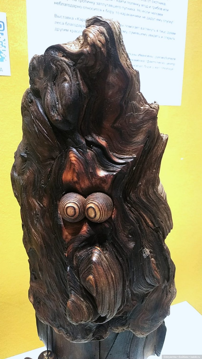 Вета отправилась на выставку или кто такие караканчики