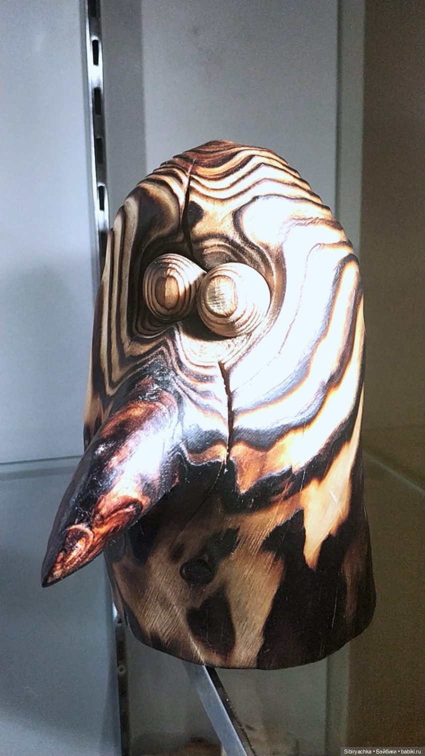 Вета отправилась на выставку или кто такие караканчики