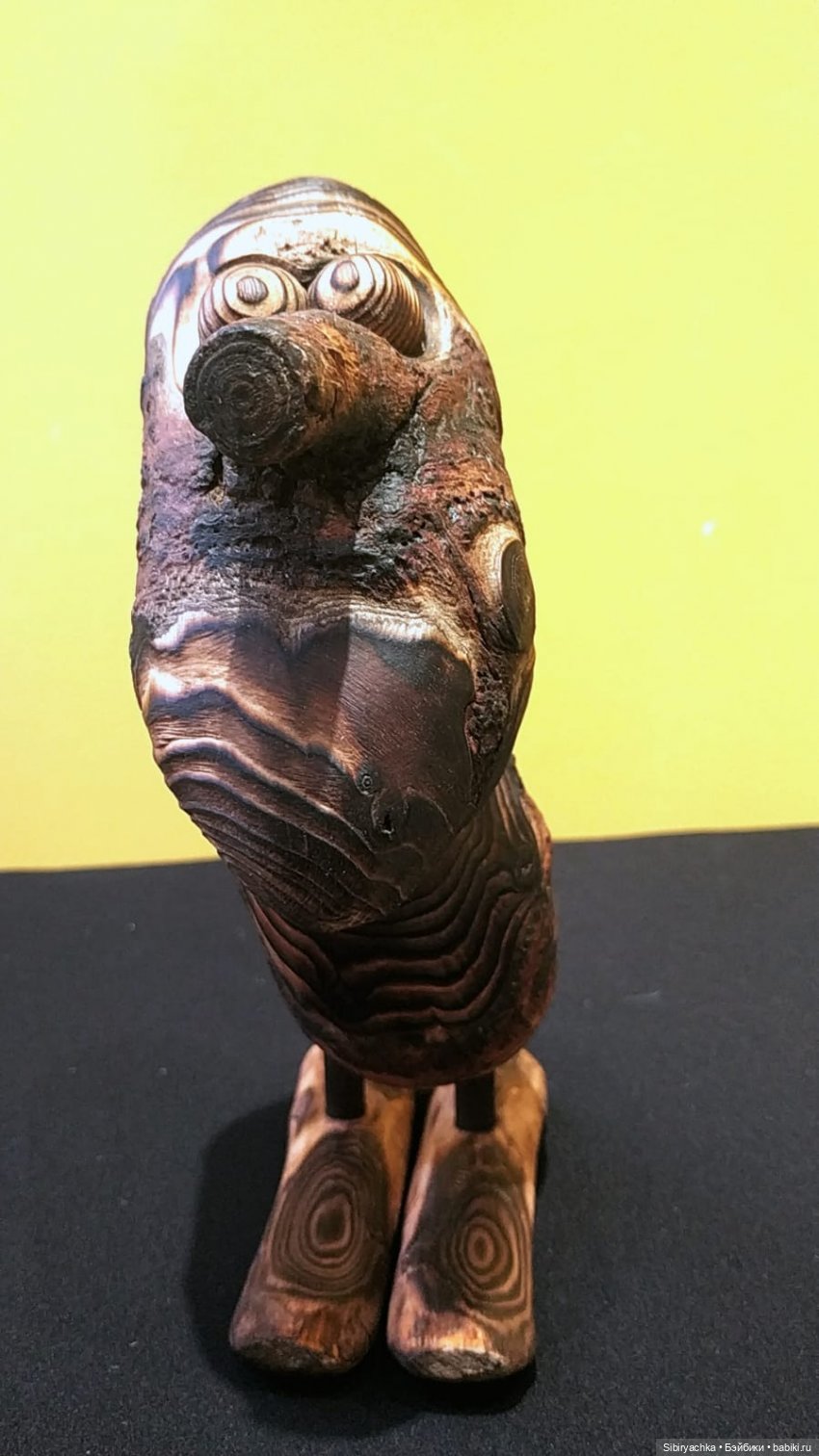 Вета отправилась на выставку или кто такие караканчики