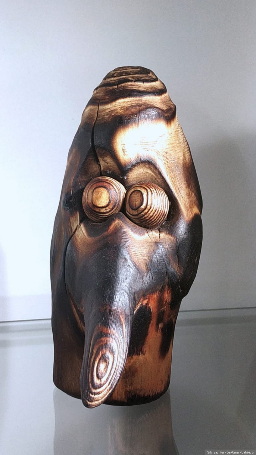 Вета отправилась на выставку или кто такие караканчики