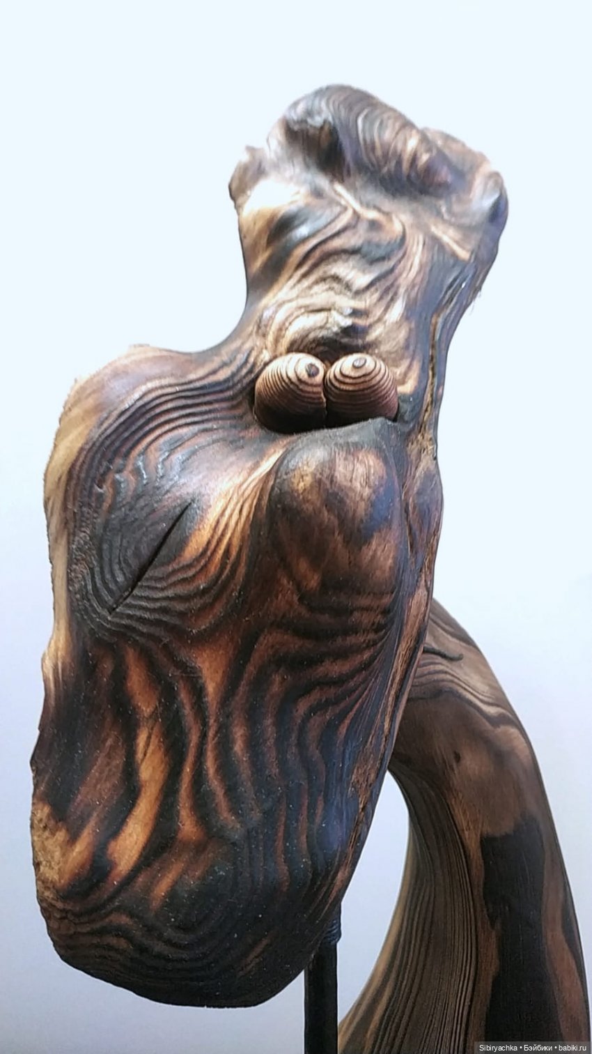 Вета отправилась на выставку или кто такие караканчики