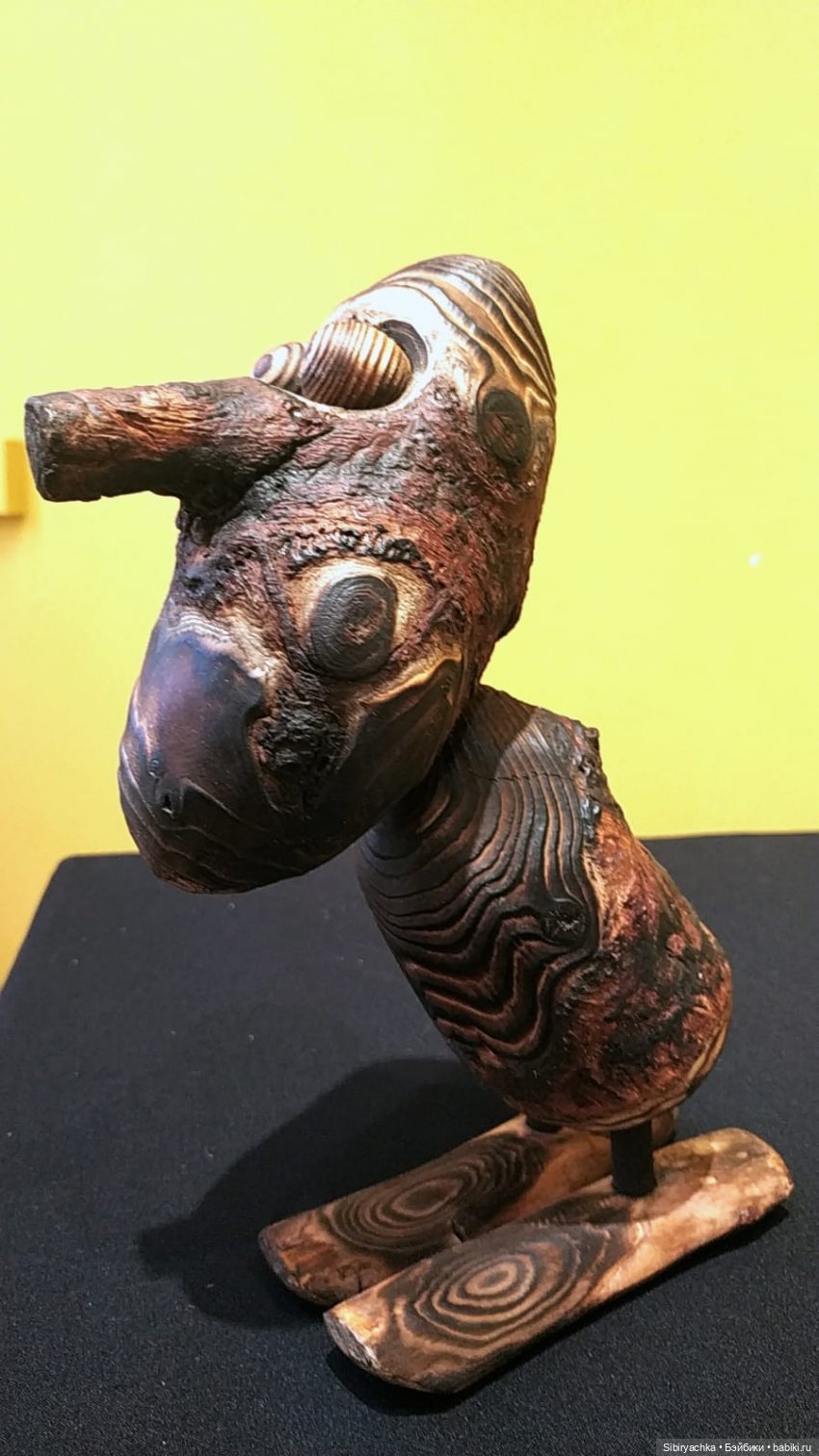 Вета отправилась на выставку или кто такие караканчики