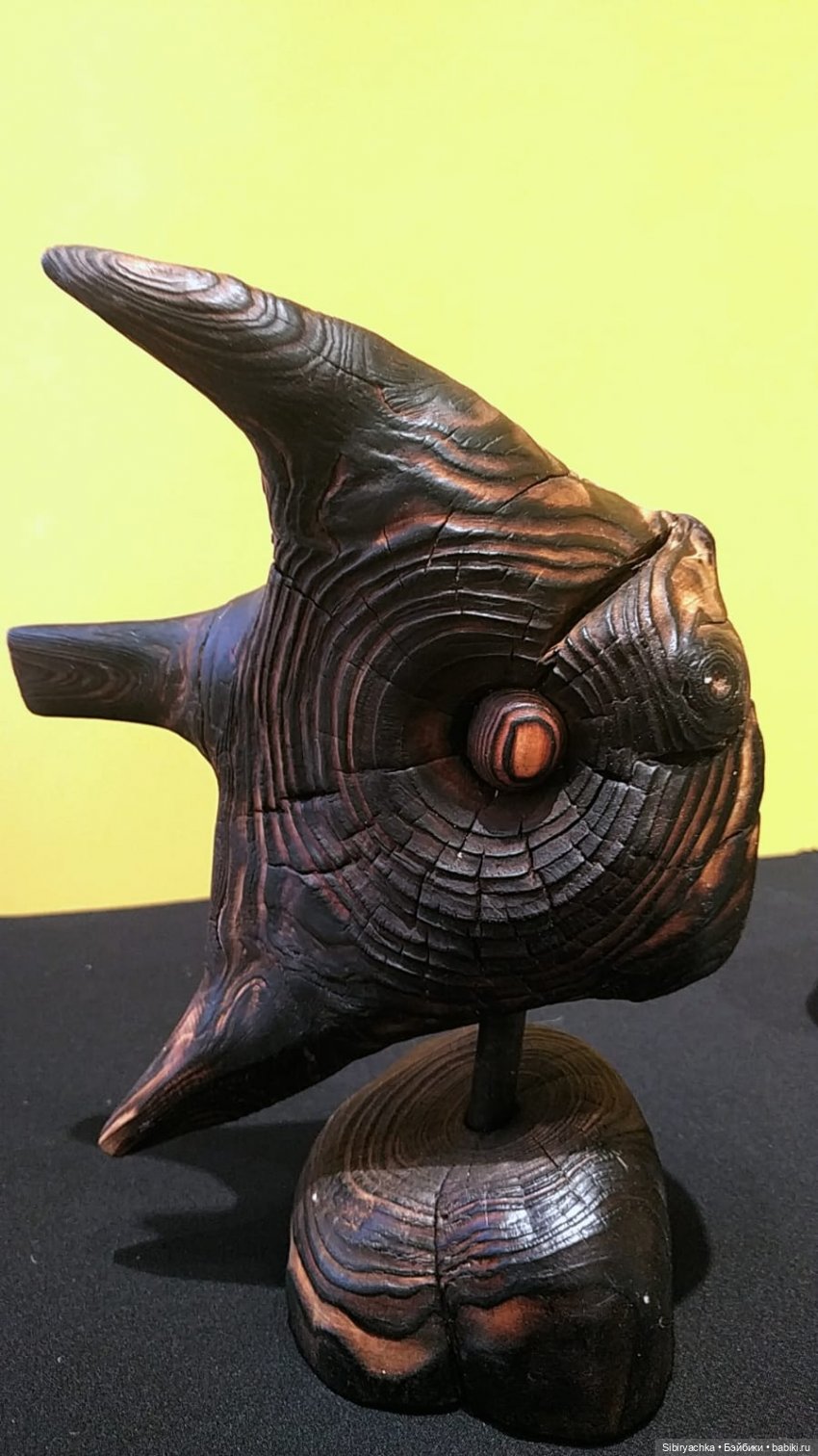 Вета отправилась на выставку или кто такие караканчики