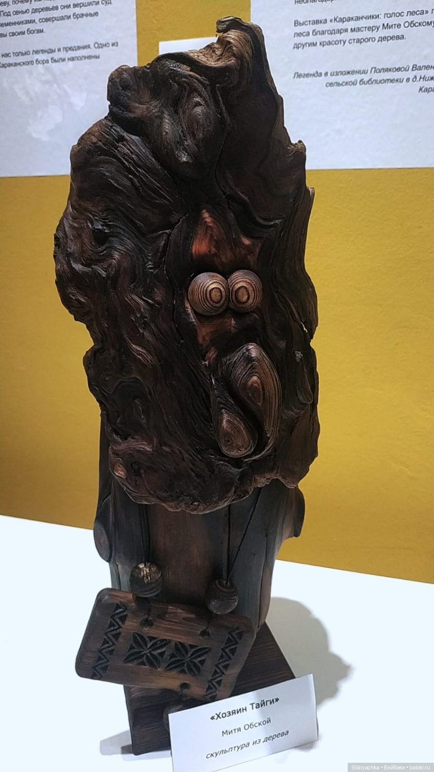 Вета отправилась на выставку или кто такие караканчики