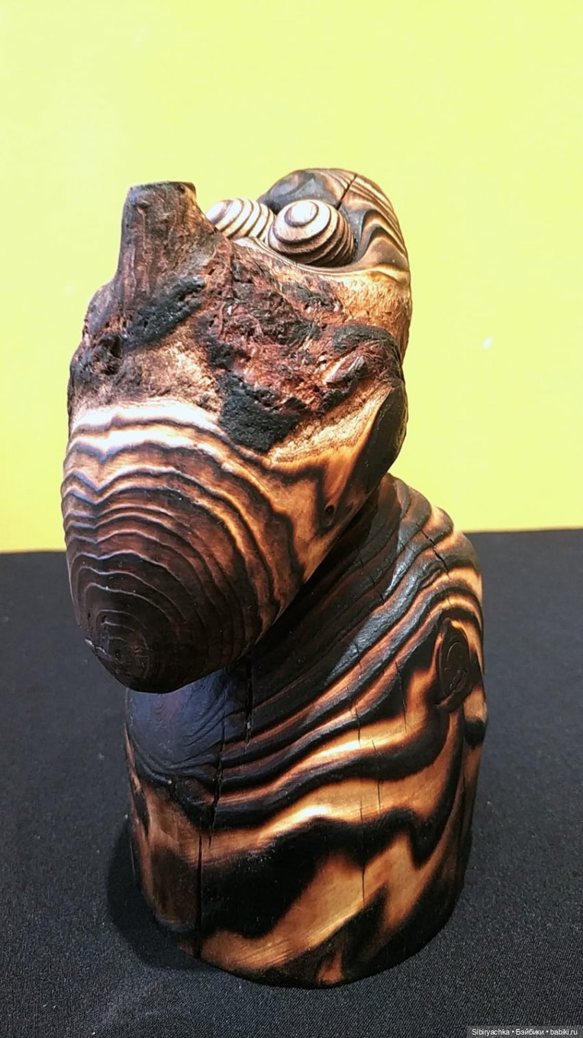 Вета отправилась на выставку или кто такие караканчики