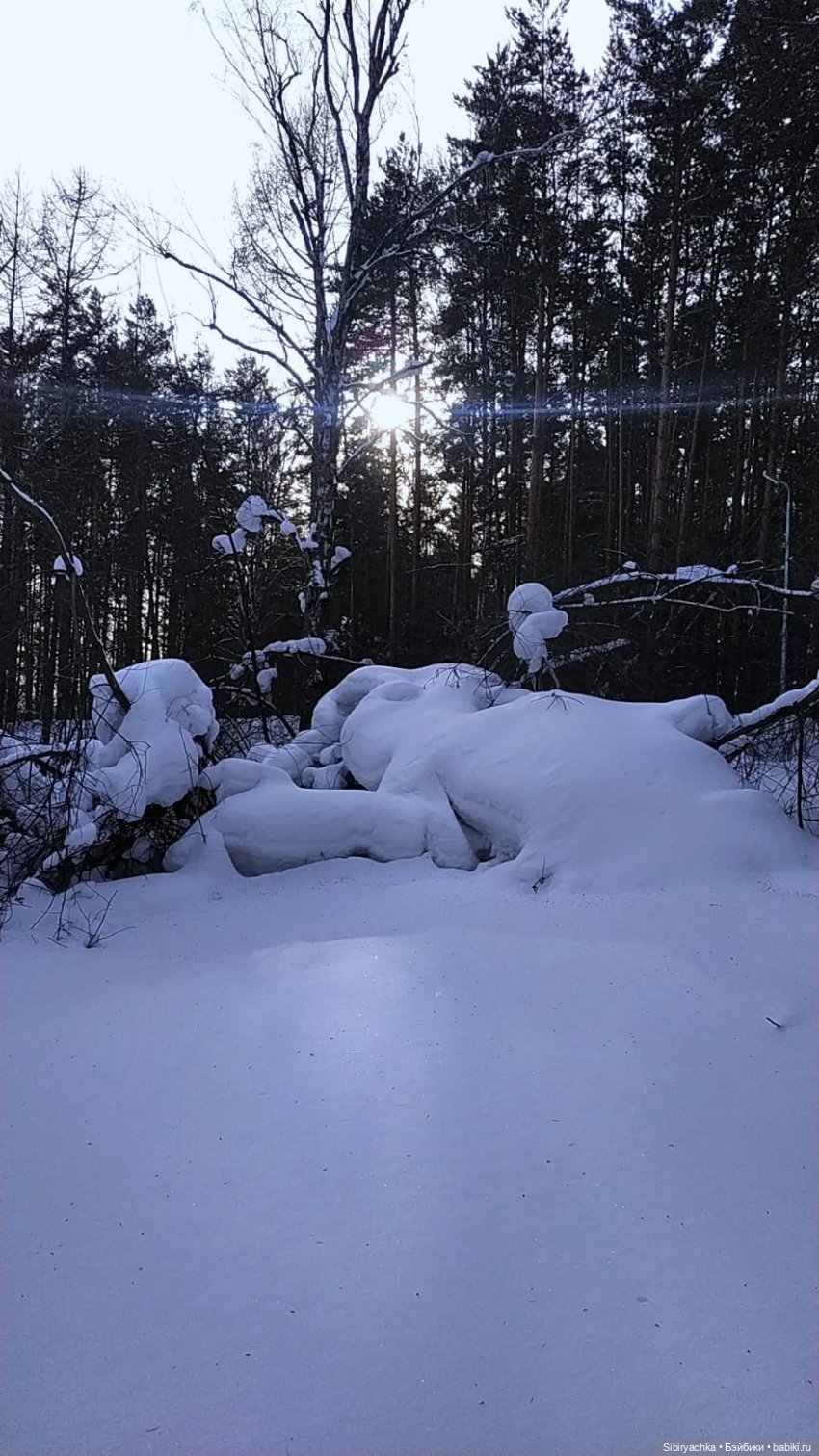 Первая лыжная прогулка Веты (фото 5)