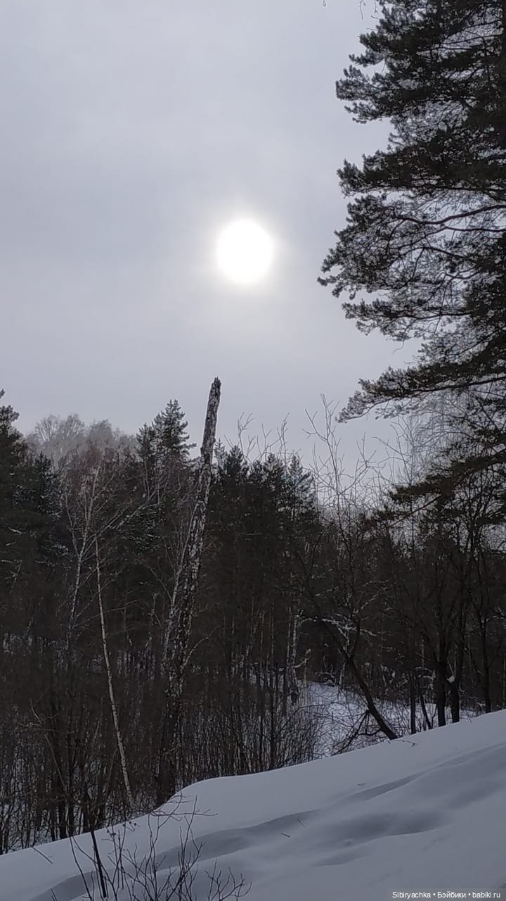 Первая лыжная прогулка Веты