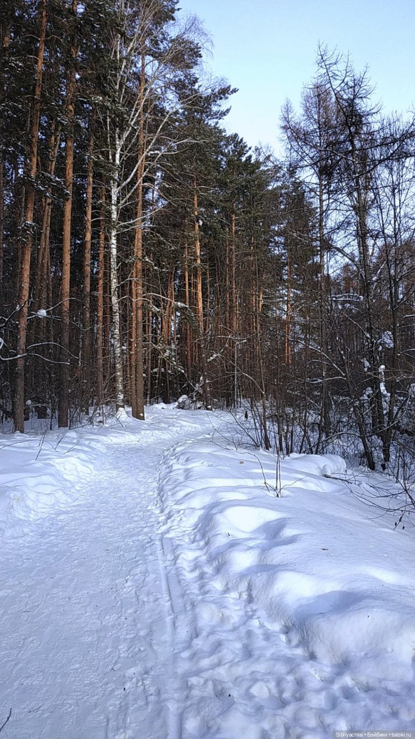 Первая лыжная прогулка Веты