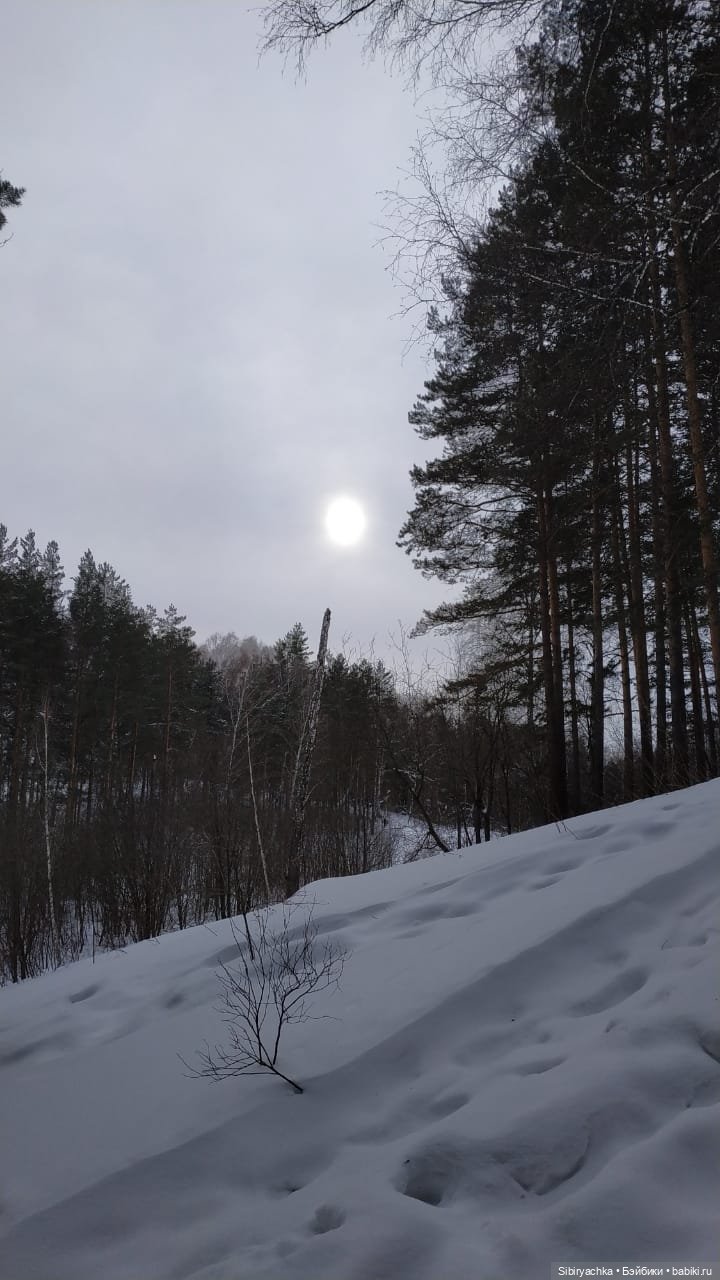 Первая лыжная прогулка Веты