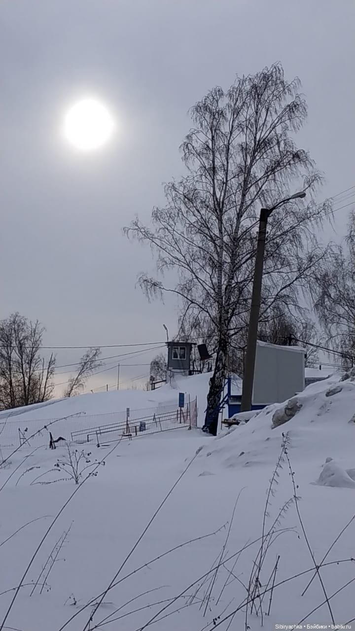 Первая лыжная прогулка Веты