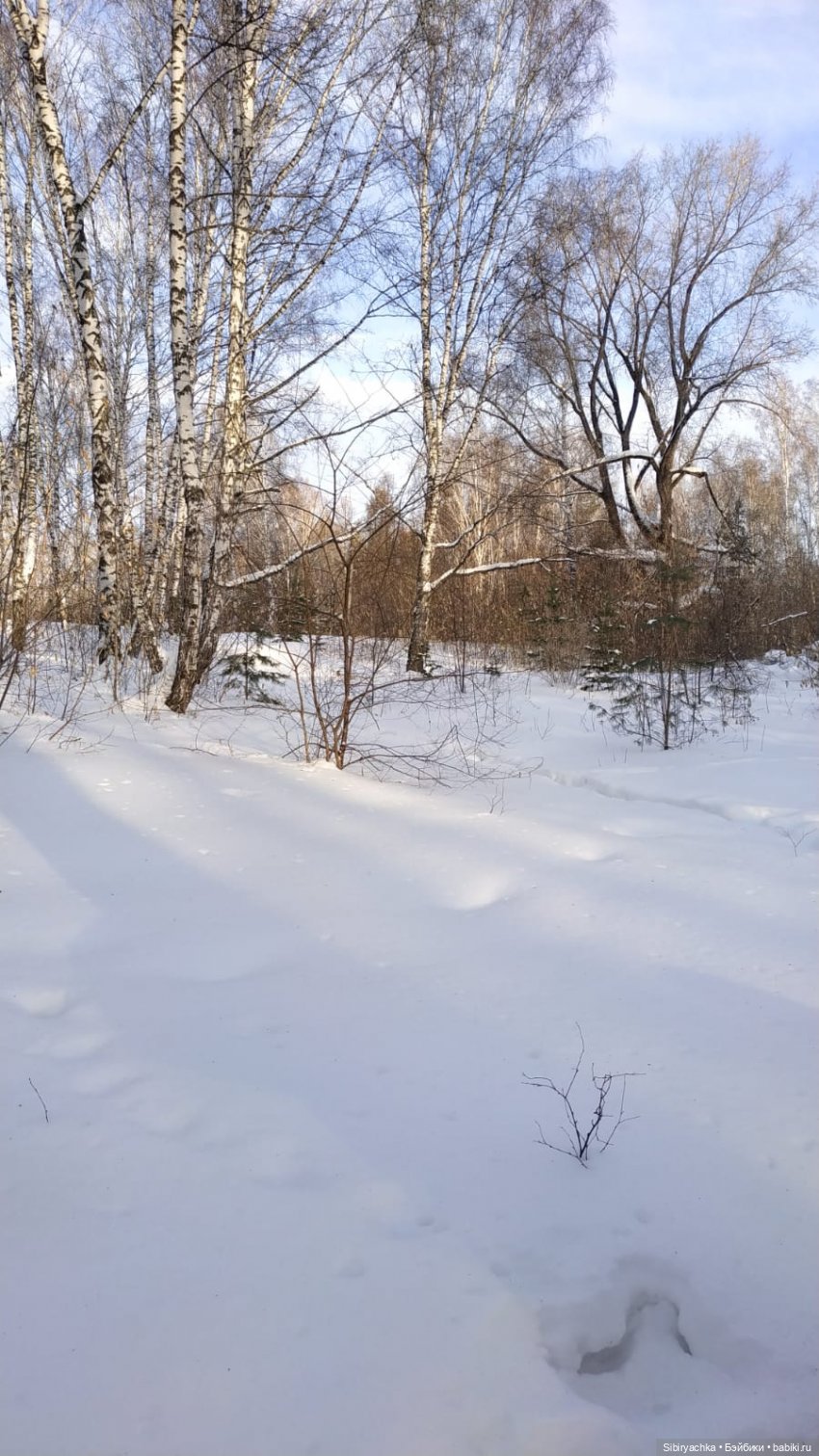 Лыжная прогулка Юляшки и Тома