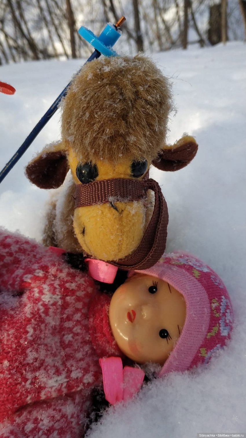 Лыжная прогулка Юляшки и Тома