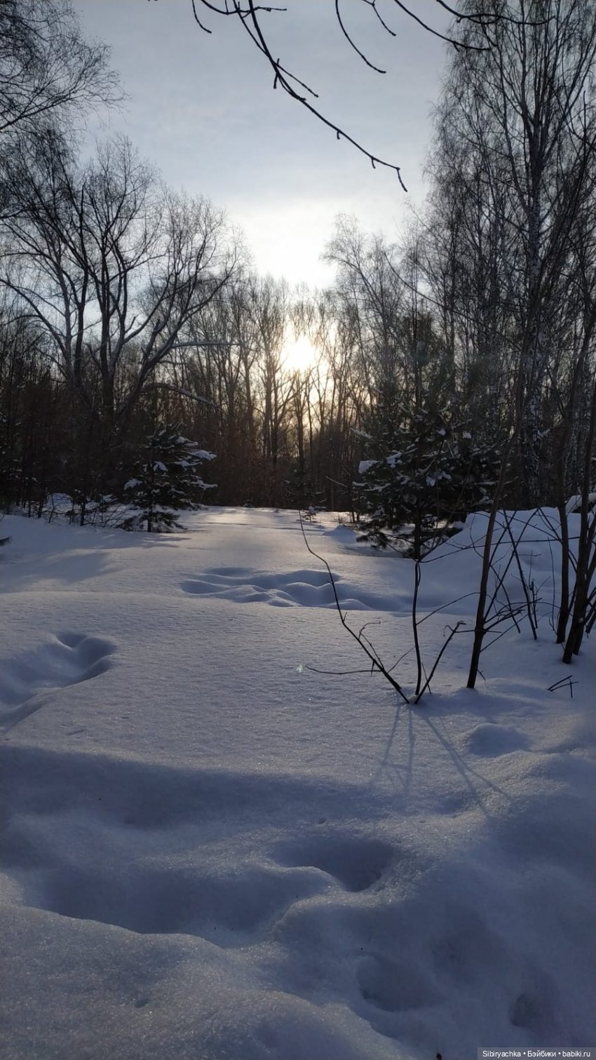 Лыжная прогулка Юляшки и Тома (фото 4)