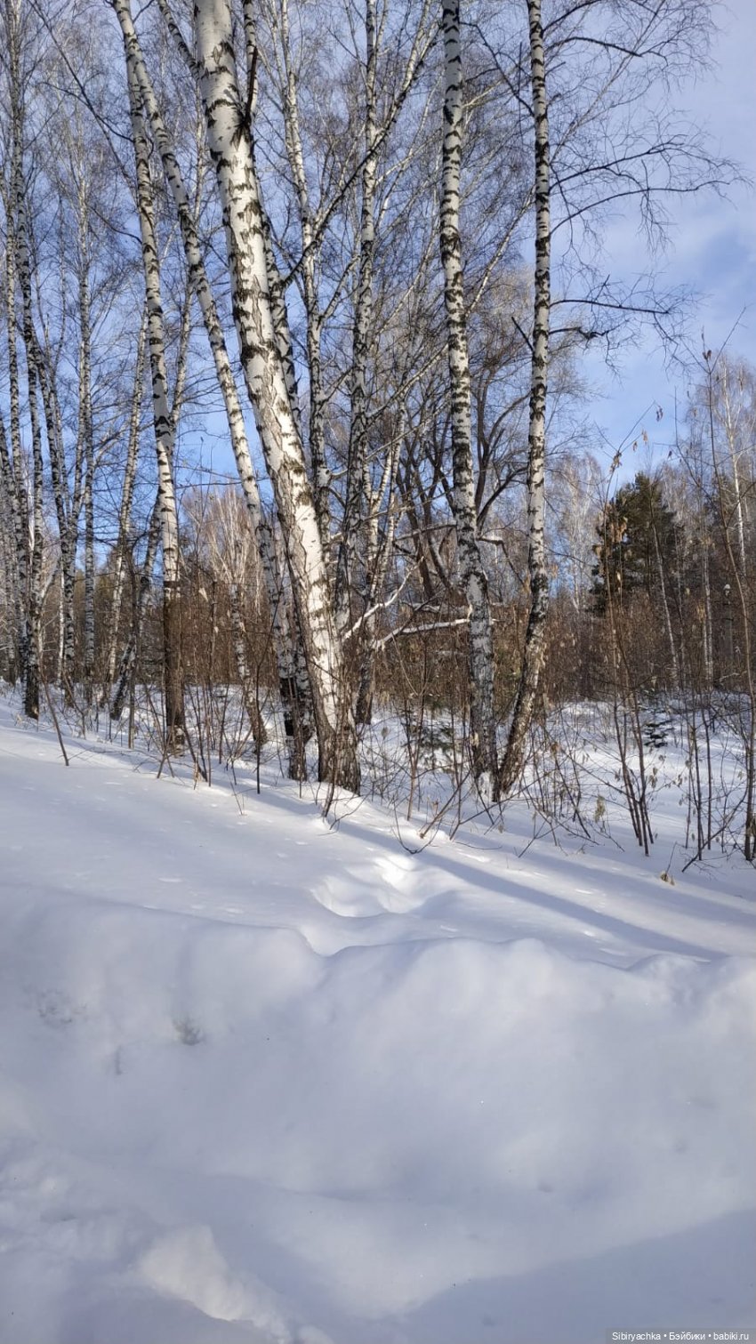 Лыжная прогулка Юляшки и Тома
