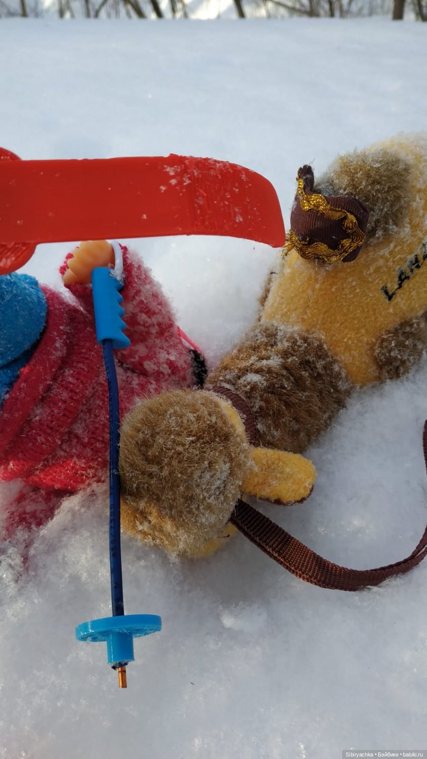 Лыжная прогулка Юляшки и Тома