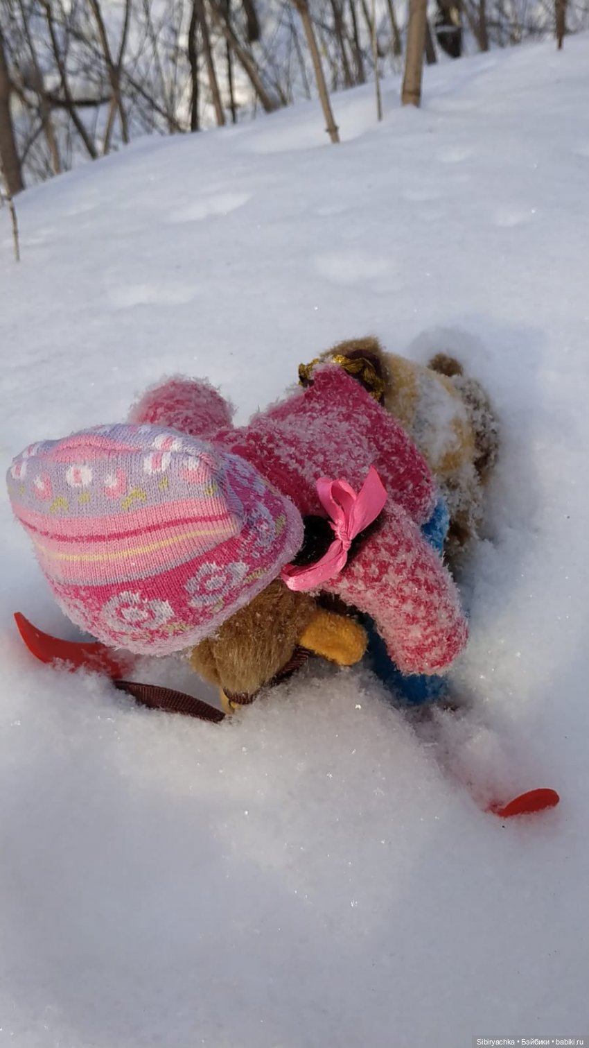 Лыжная прогулка Юляшки и Тома