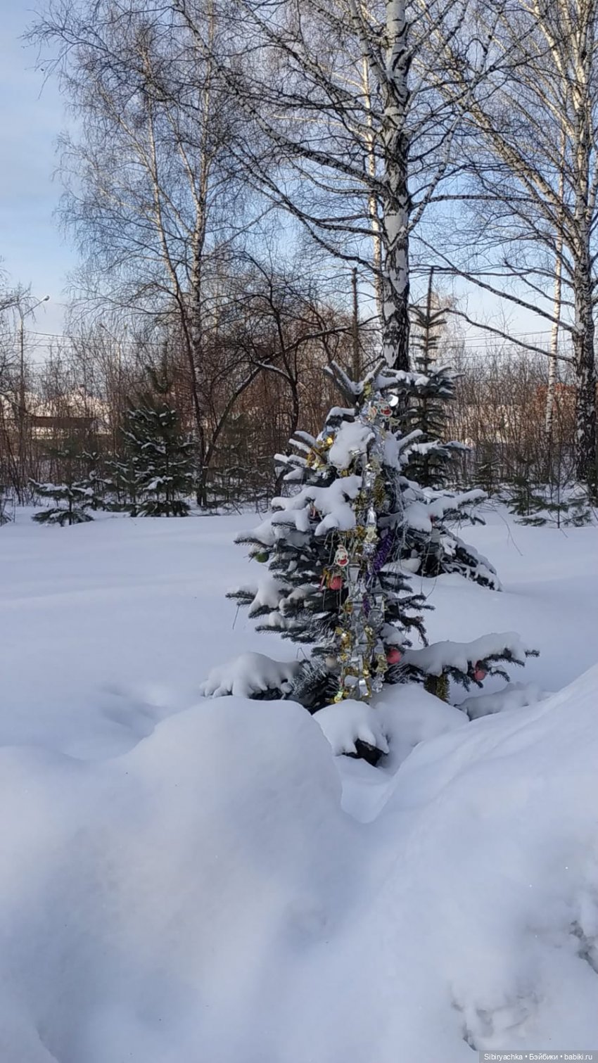 Лыжная прогулка Юляшки и Тома (фото 6)