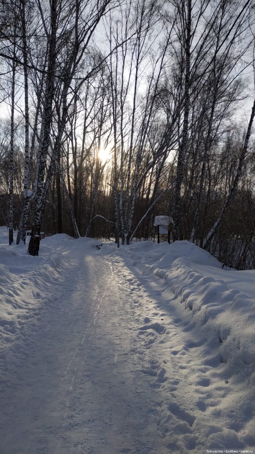 Лыжная прогулка Юляшки и Тома (фото 8)