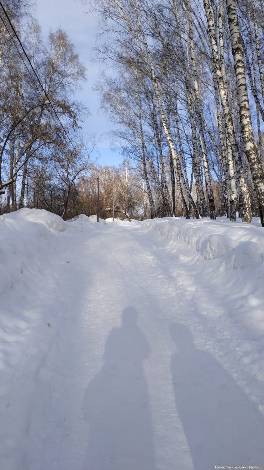 Лыжная прогулка Юляшки и Тома
