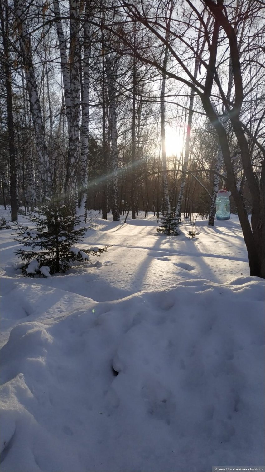 Лыжная прогулка Юляшки и Тома