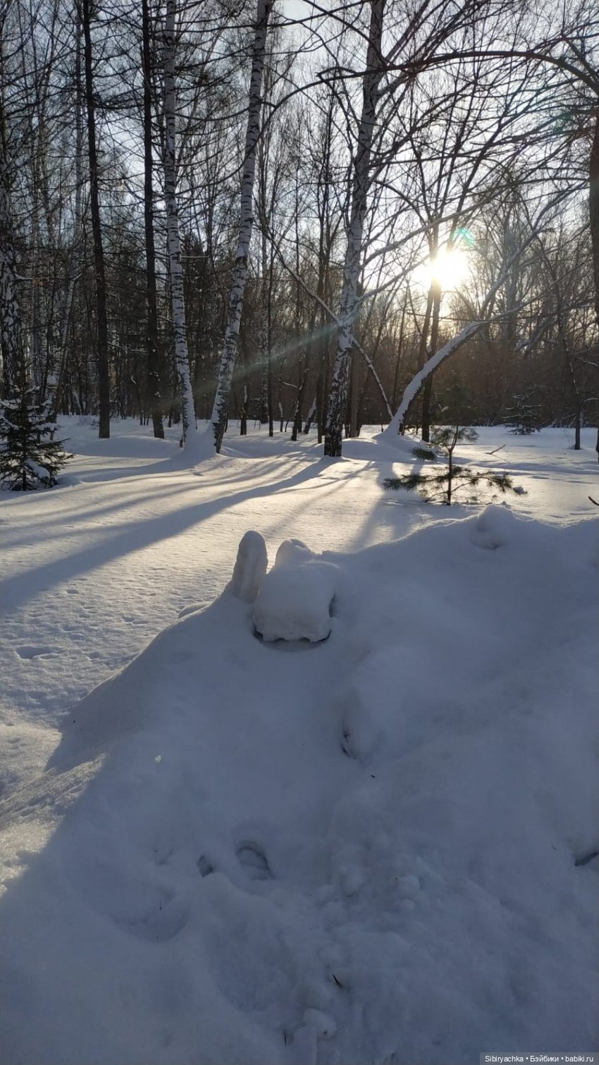 Лыжная прогулка Юляшки и Тома (фото 2)