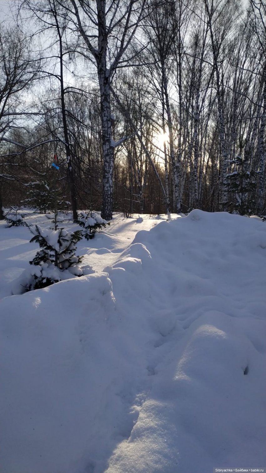 Лыжная прогулка Юляшки и Тома (фото 7)