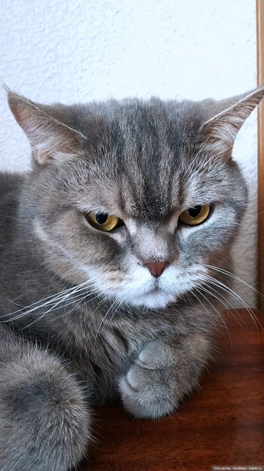 В гостях у мамы — Советские винтажные куклы (СССР): Ленигрушка (фото 4)