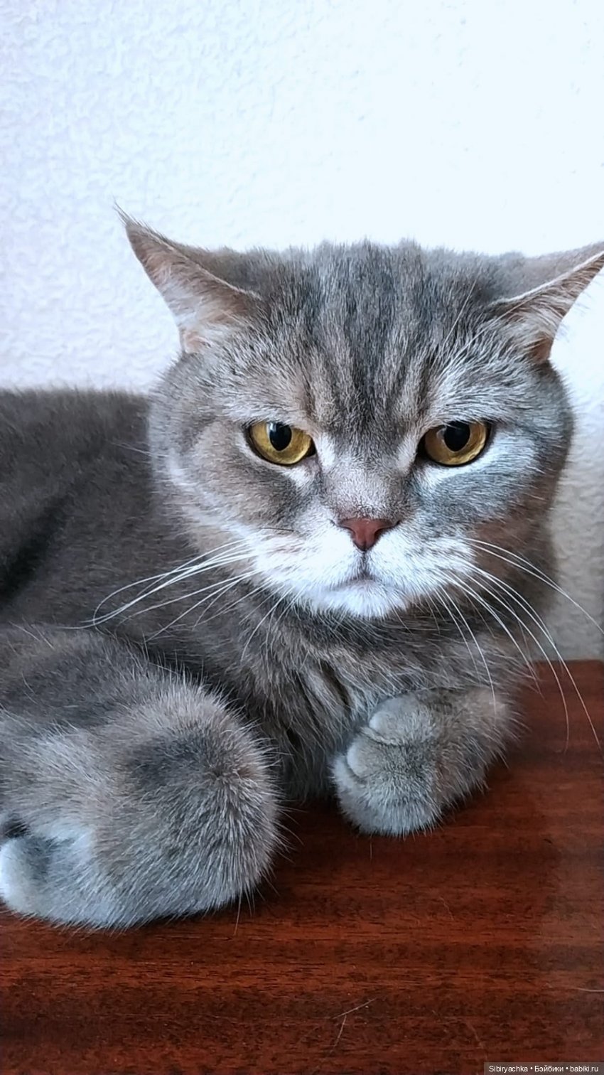 В гостях у мамы — Советские винтажные куклы (СССР): Ленигрушка (фото 5)