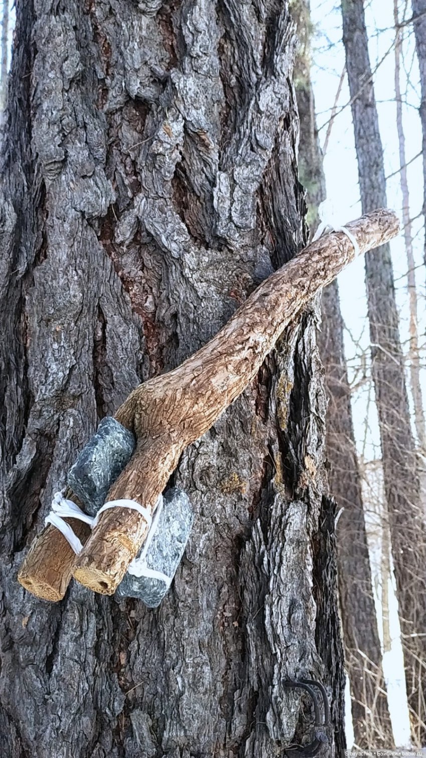 Юляшка, Вета и Том гуляют в лесу. Часть II