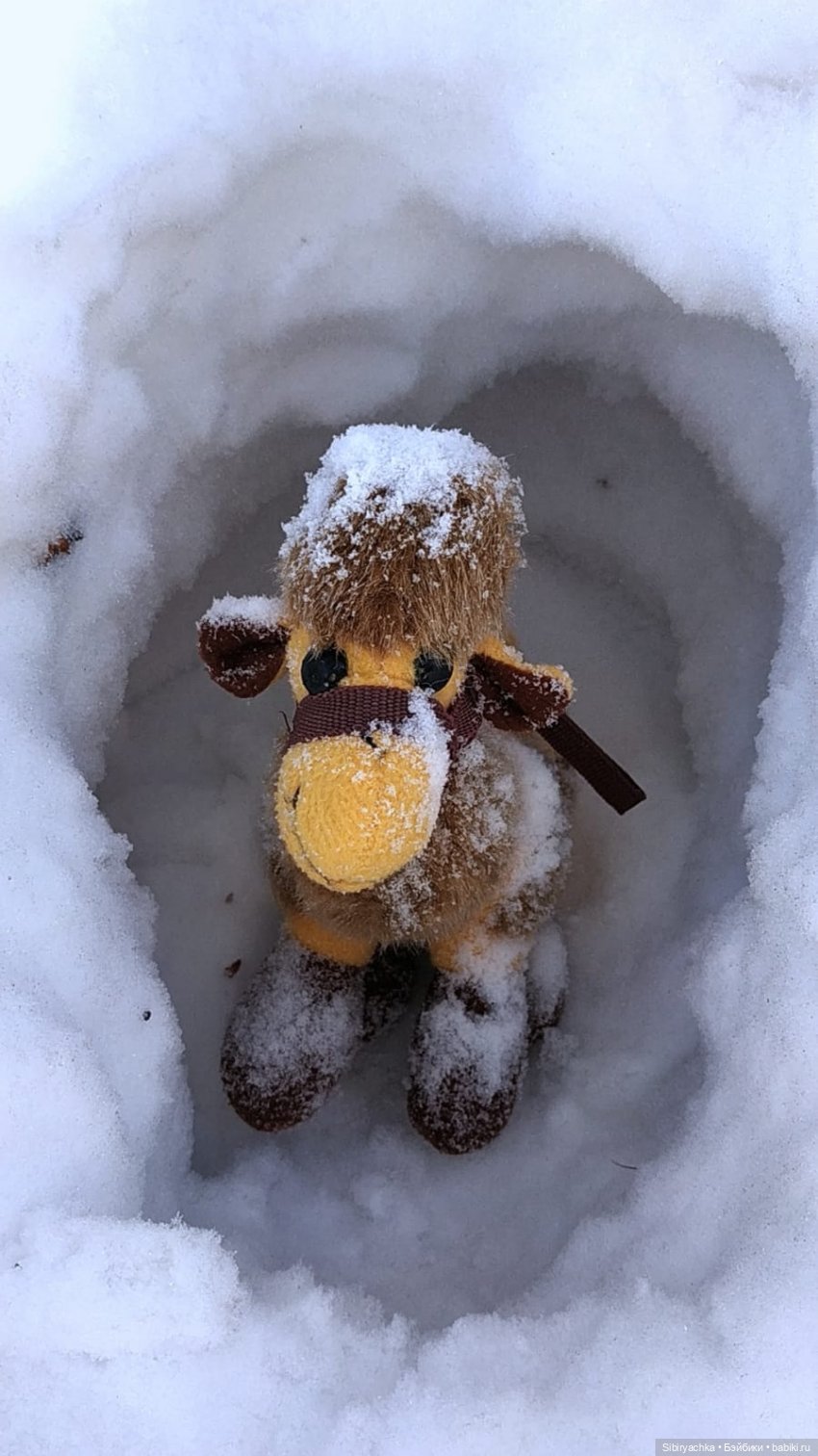 Юляшка, Вета и Том гуляют в лесу. Часть I