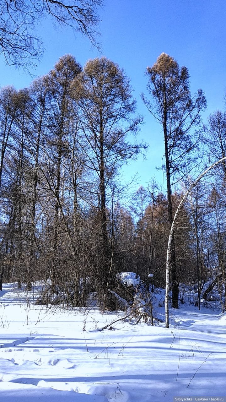 Юляшка, Вета и Том гуляют в лесу. Часть II