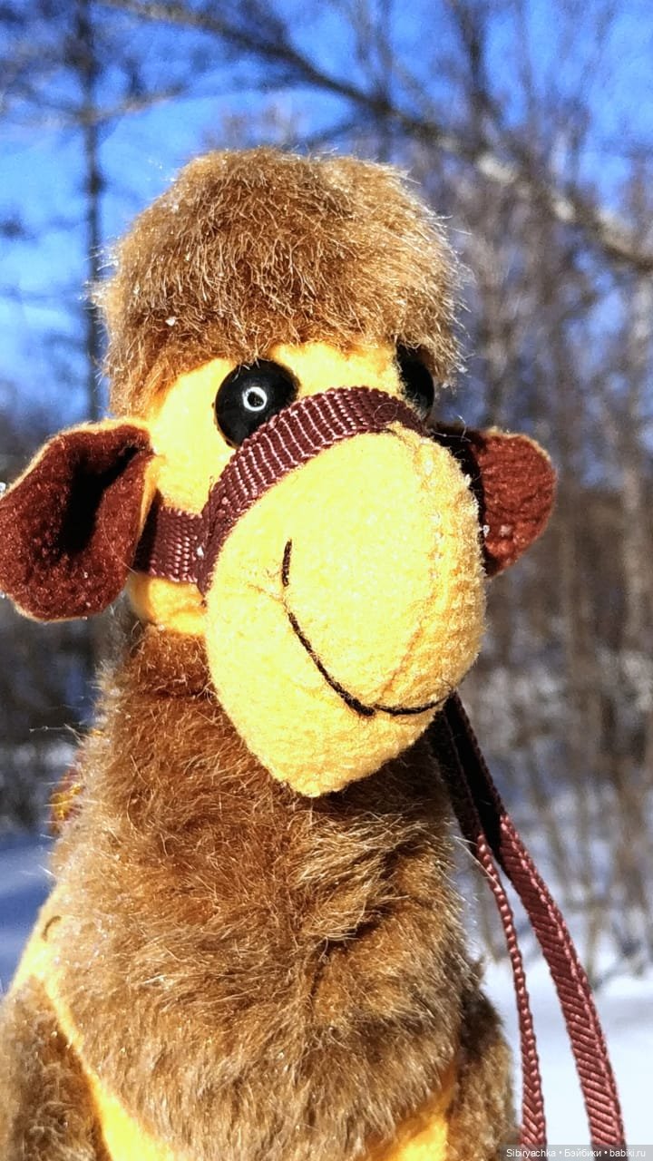 Юляшка, Вета и Том гуляют в лесу. Часть II