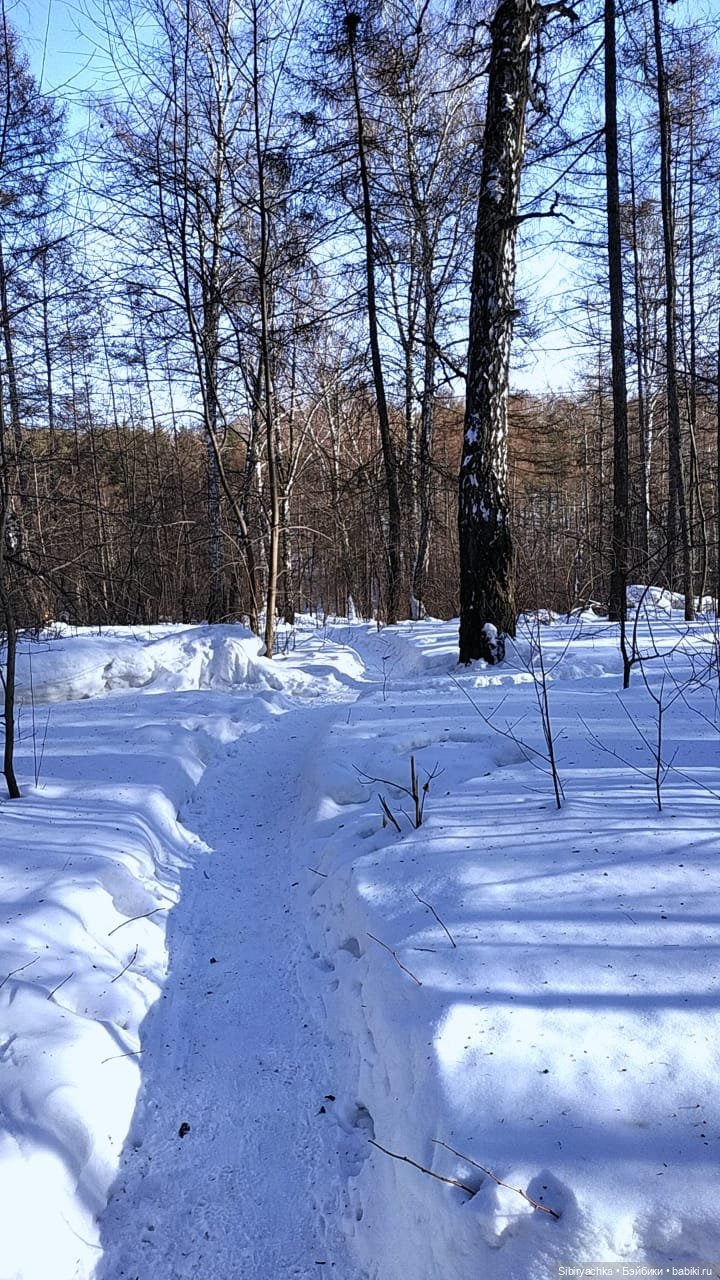 Юляшка, Вета и Том гуляют в лесу. Часть II