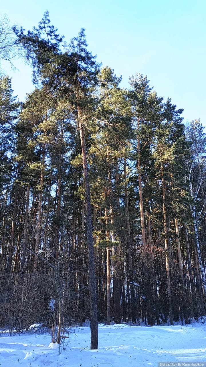 Юляшка, Вета и Том гуляют в лесу. Часть II