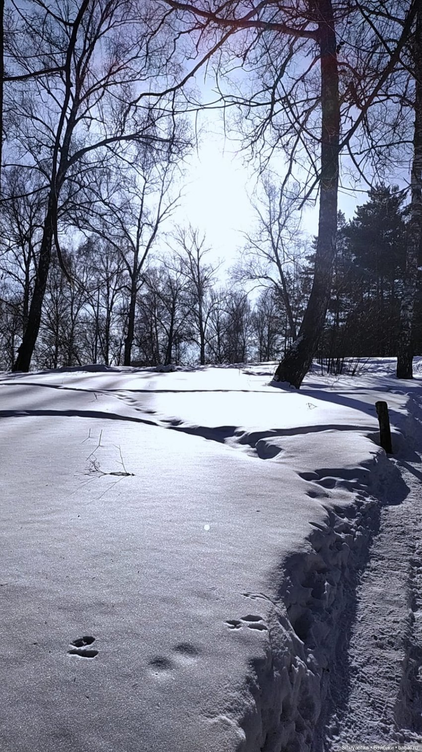 Юляшка, Вета и Том гуляют в лесу. Часть I