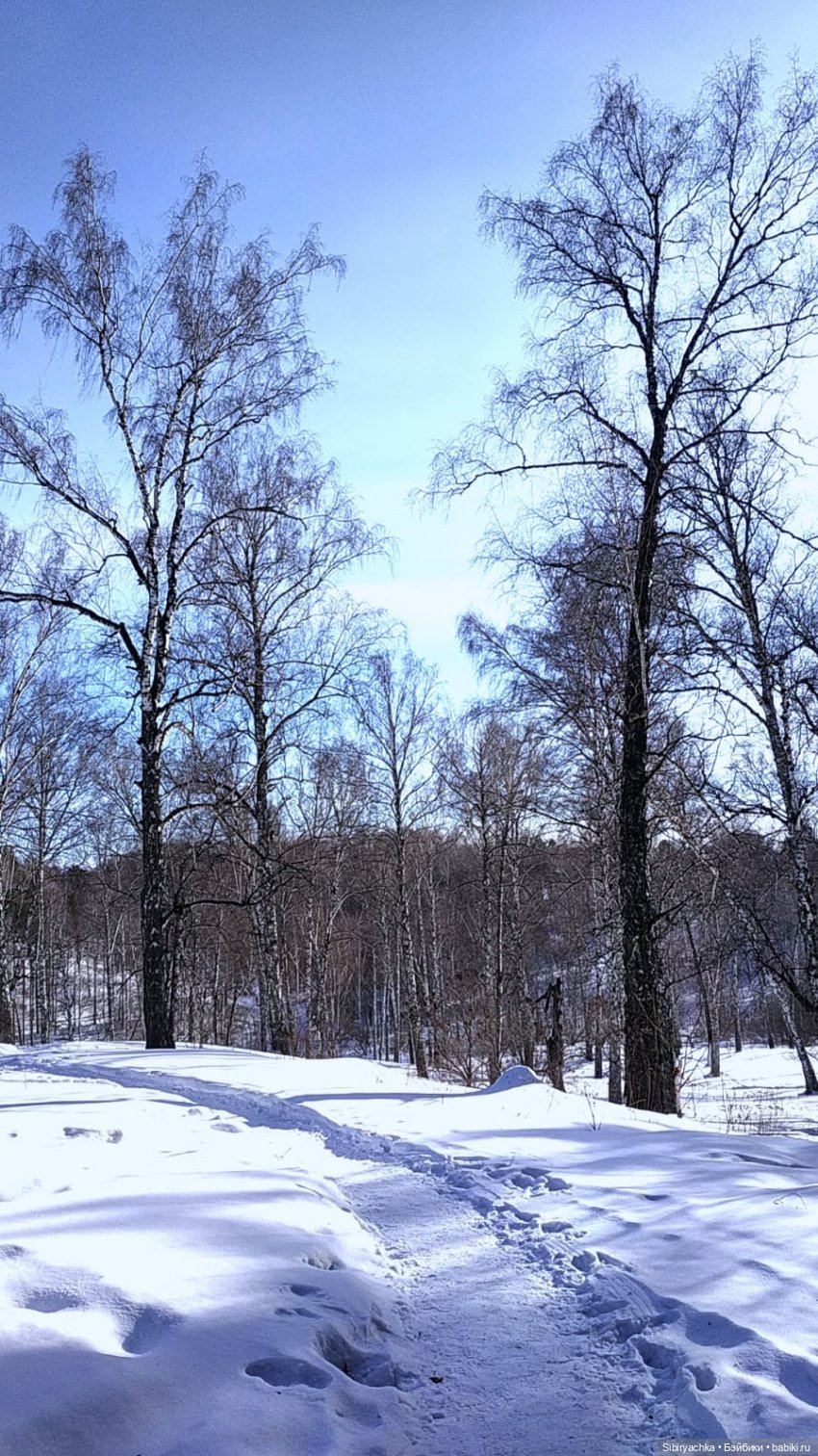 Юляшка, Вета и Том гуляют в лесу. Часть I (фото 2)