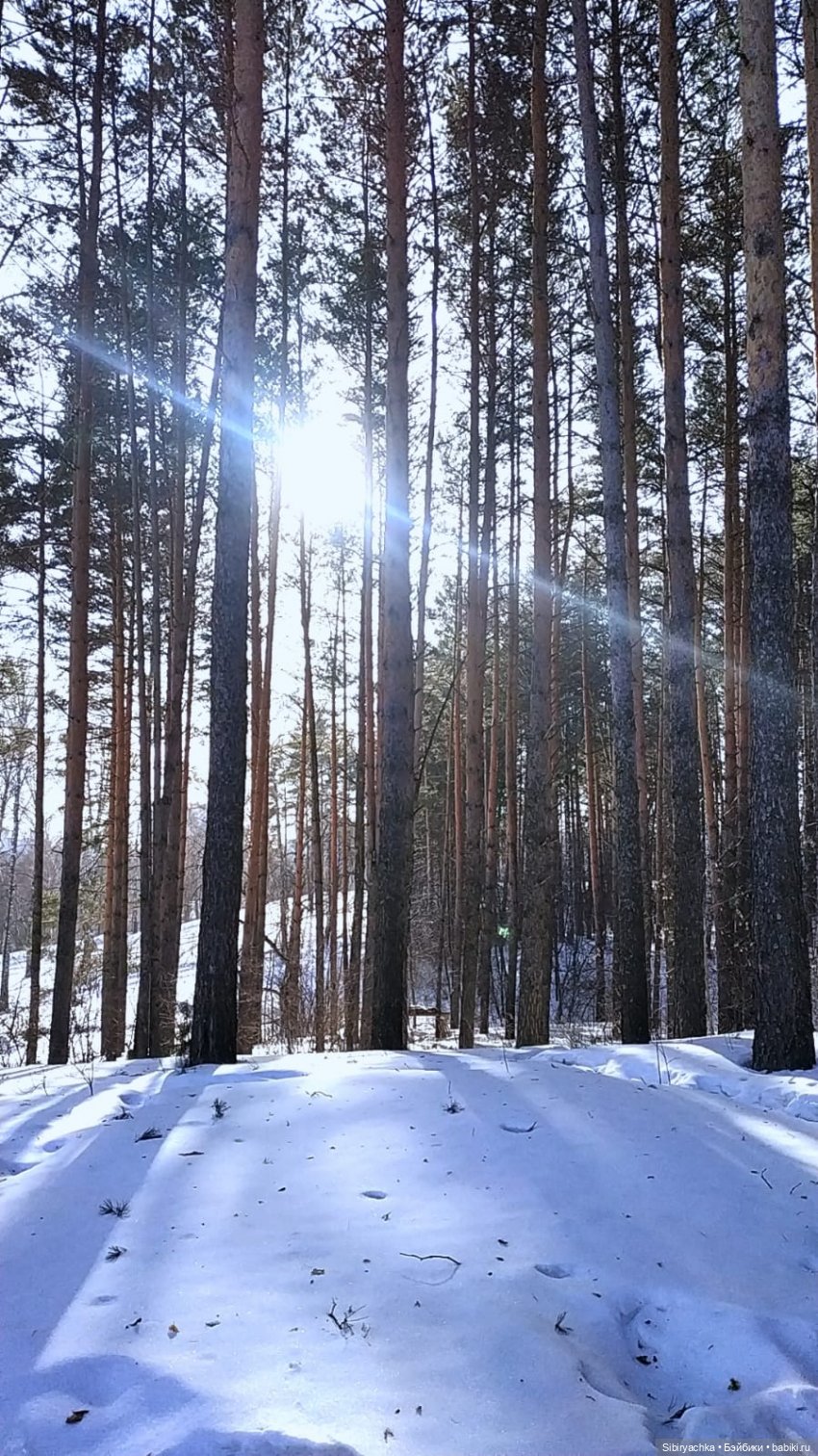 Юляшка, Вета и Том гуляют в лесу. Часть I