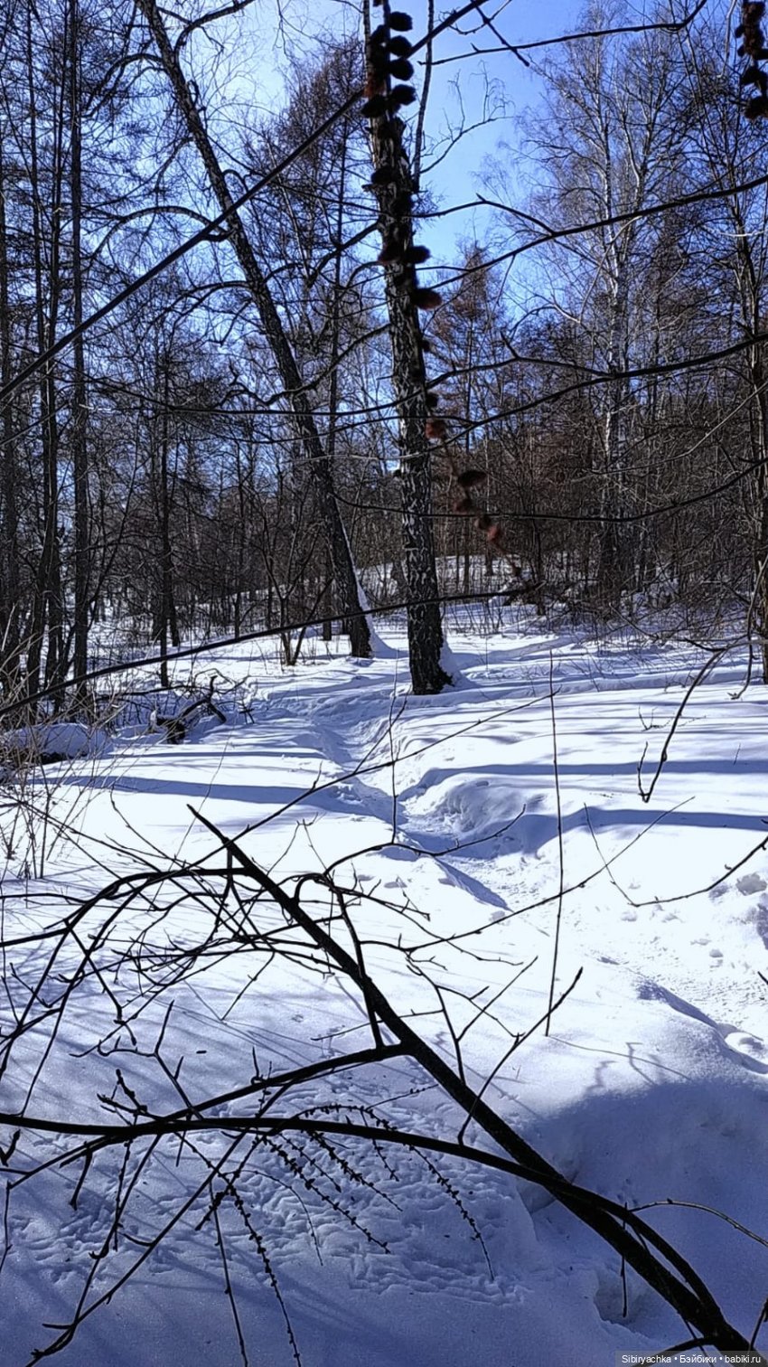 Юляшка, Вета и Том гуляют в лесу. Часть II